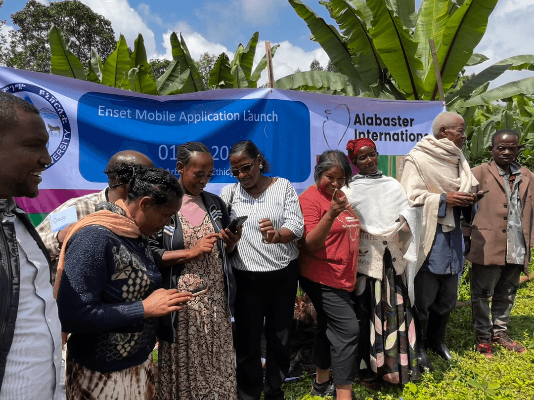 Alabaster international