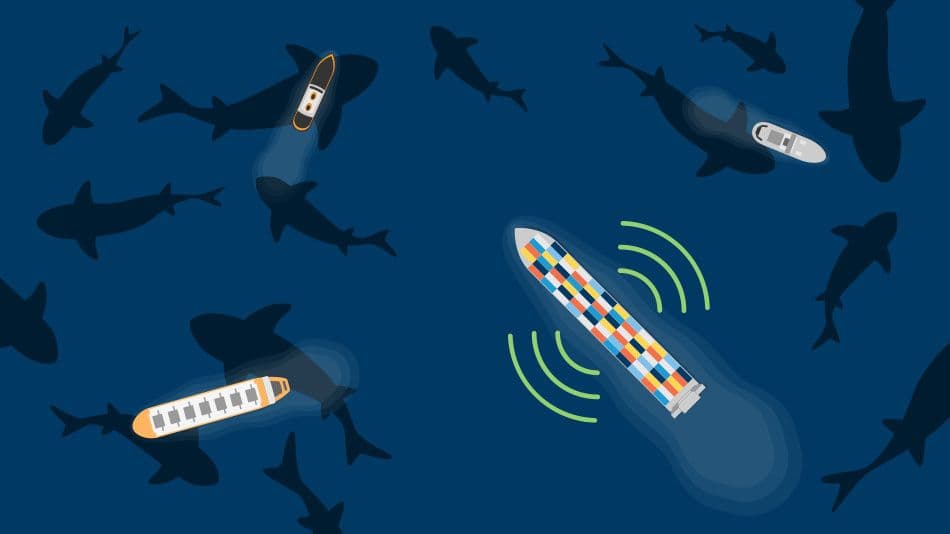 Boats in shark infested waters